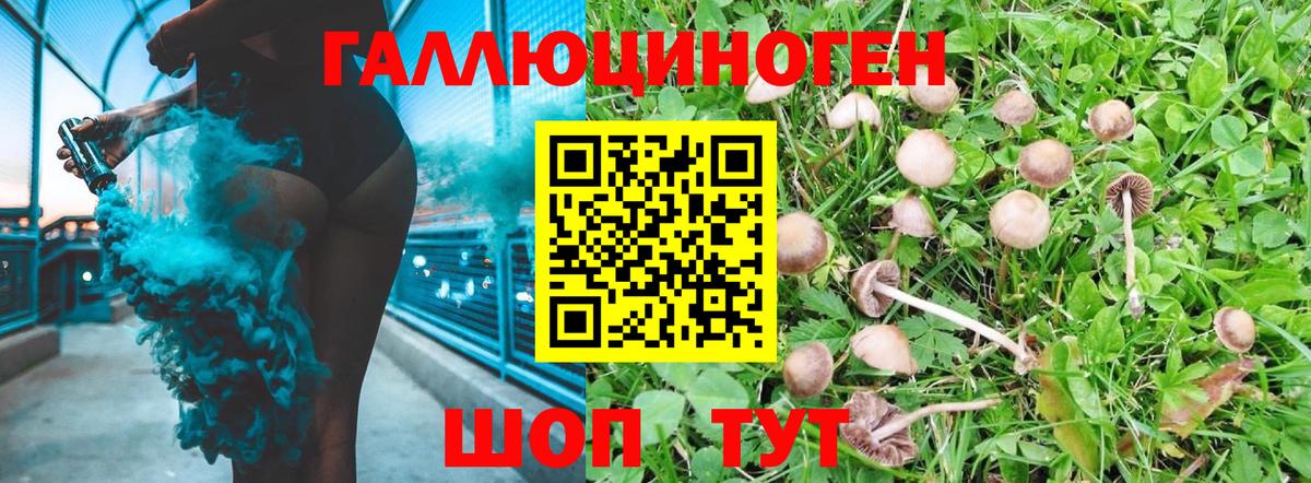 Псилоцибиновые грибы прущие грибы Гатчина