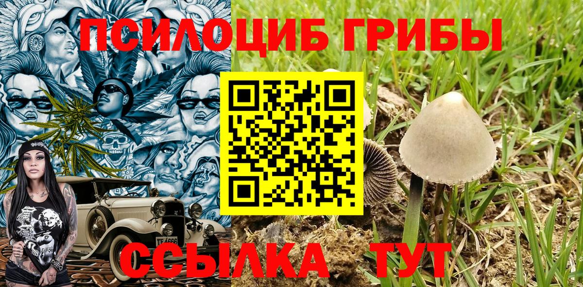 Гатчина  Псилоцибиновые грибы ЛСД  Вход с VPN 